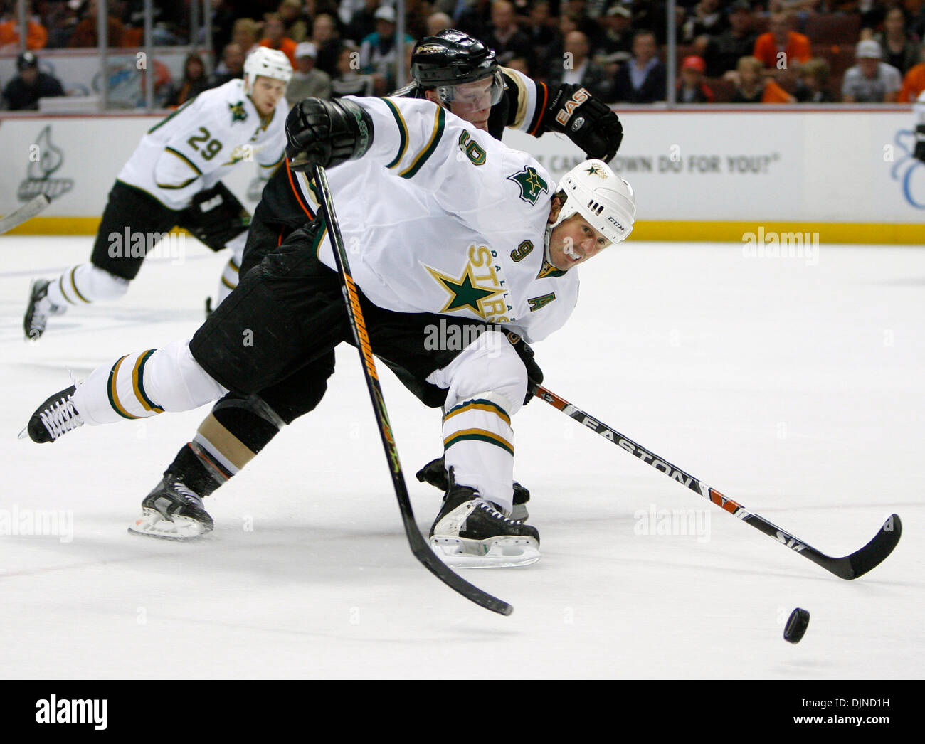 Apr 10, 2008 - Anaheim, California, USA - Dallas Stars center MIKE MODANO, right, and Anaheim Ducks center SAMUEL PAHLSSON, of Sweden, battle for the puck in the first period of the NHL Western Conference Quarterfinals. (Credit Image: © Mark Avery/ZUMA Press) Stock Photo