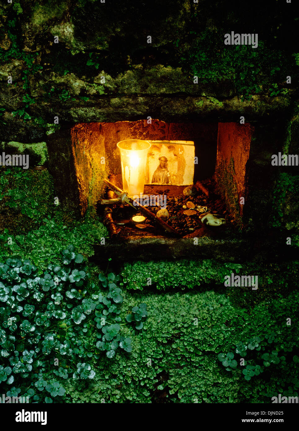 Niche in the rear wall of St Issui's holy well (Ffynnon Ishow), Partrishow, Powys, with a lit taper, votive offerings & liverwort. Stock Photo