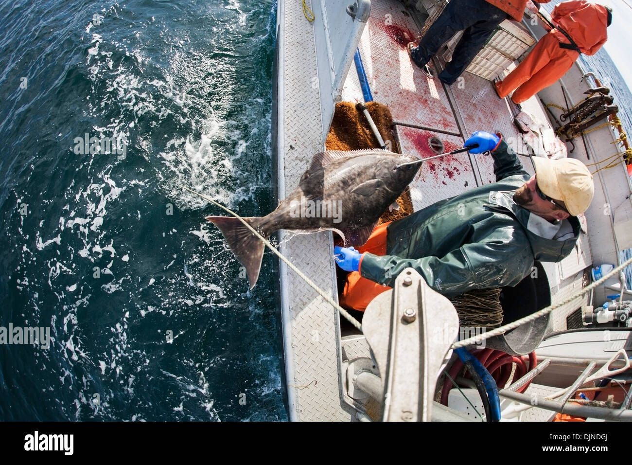 Commercial longline fishing pacific ocean hi-res stock photography