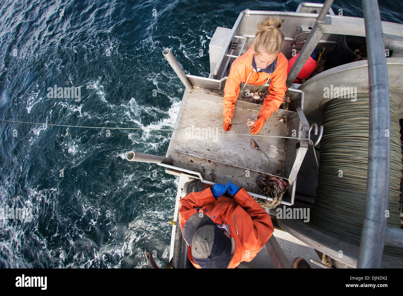 Deckhands Snap Hooks Onto The Groundline While Setting Out Commercial