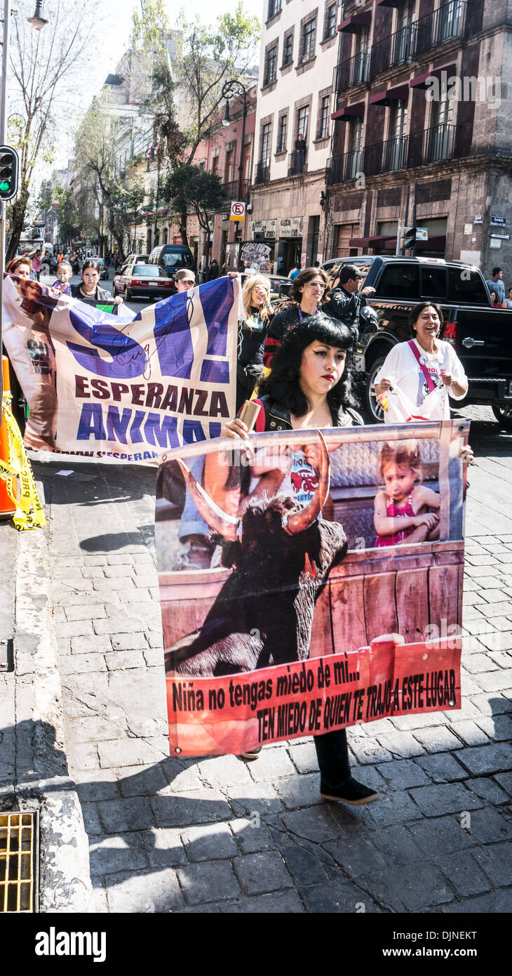 Mexico City, Centro Historico District, Mexico; November 28, 2013. Pretty young woman with banner is among Animal rights activists marching to protest bullfighting in Mexico City on Thursday Credit:  Dorothy Alexander/Alamy Live News Stock Photo