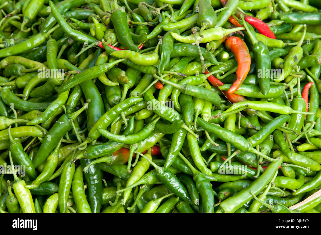 Laos green chillies hi-res stock photography and images - Alamy