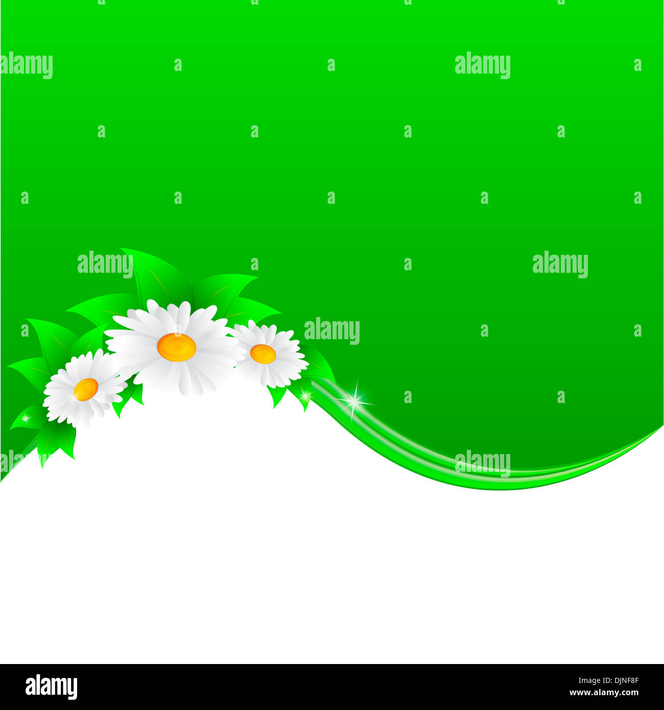 Vector illustration of chamomile flower Stock Photo - Alamy