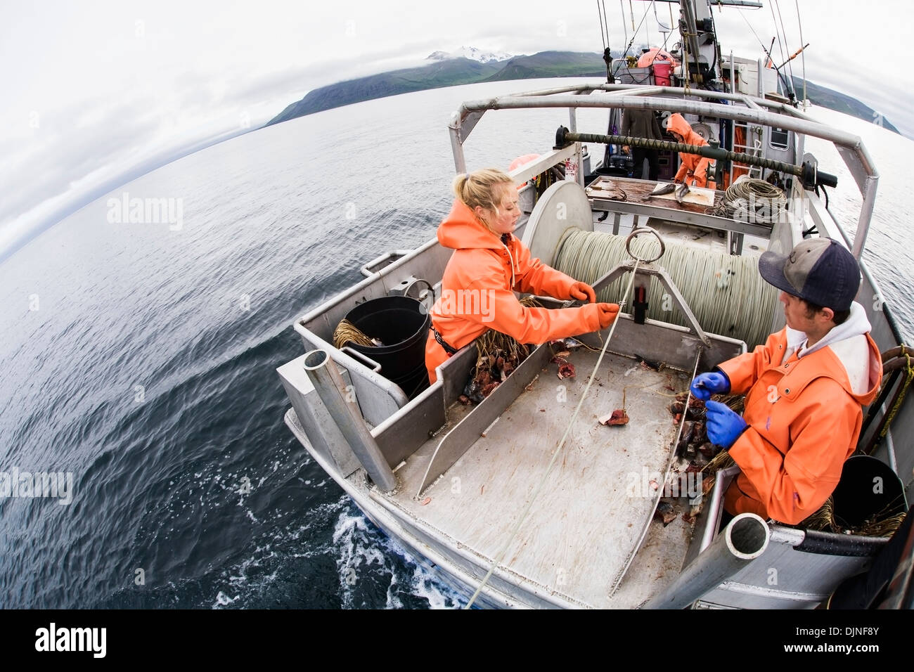 Commercial halibut fishing longline hooks hires stock photography and