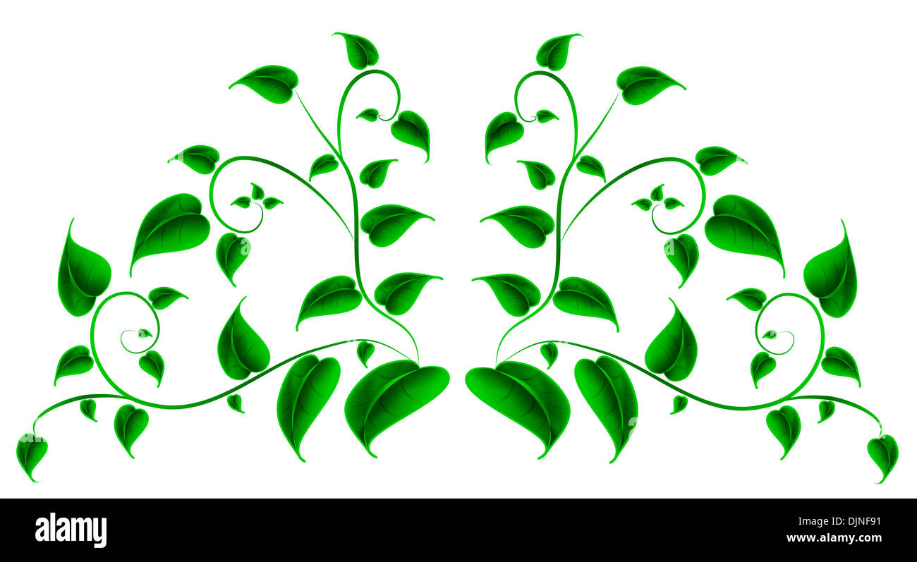 Vector illustration of Green leaf Stock Photo - Alamy
