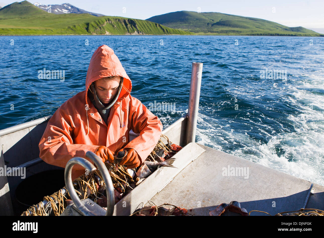 Halibut Longline High Resolution Stock Photography and Images Alamy