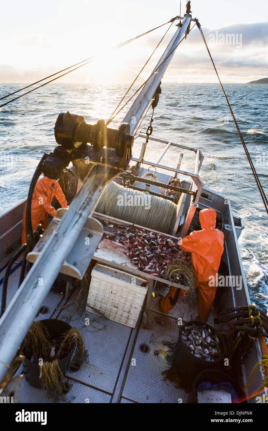 Deckhands on boat hires stock photography and images Alamy