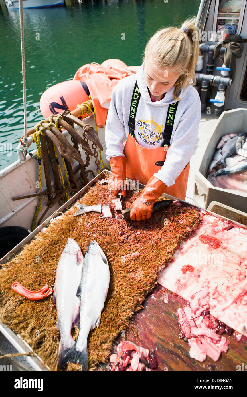 Deckhands Snap Hooks Onto The Groundline While Setting Out Commercial  Halibut Longline Gear, Southwest Alaska, Summer Stock Photo - Alamy