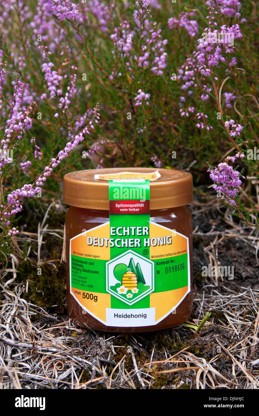 Honey jar / pot of apiary in heather at the Lüneburg Heath / Lunenburg Heathland, Lower Saxony, Germany Stock Photo