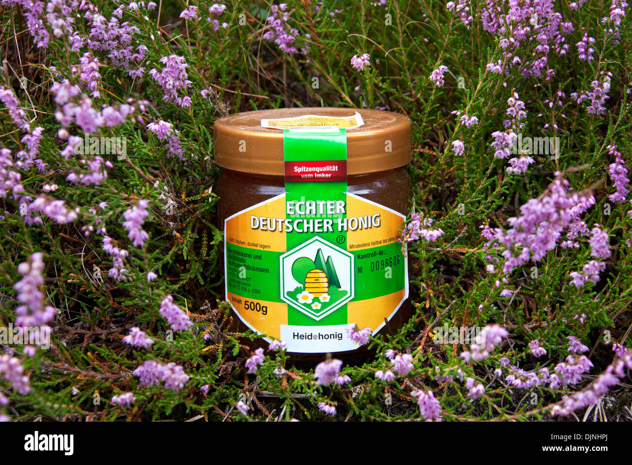 Honey jar / pot of apiary in heather at the Lüneburg Heath / Lunenburg