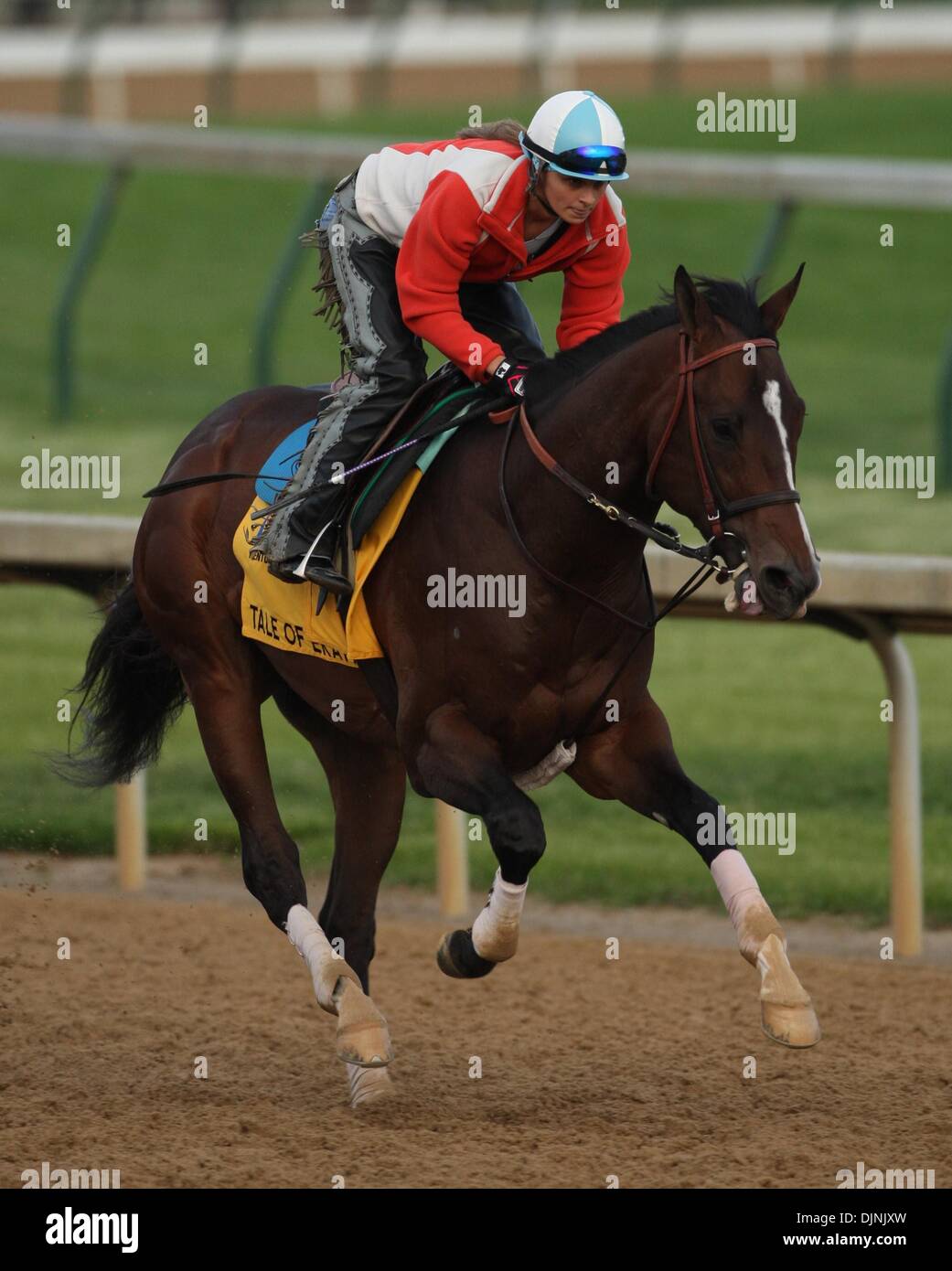 Galloped High Resolution Stock Photography And Images Alamy