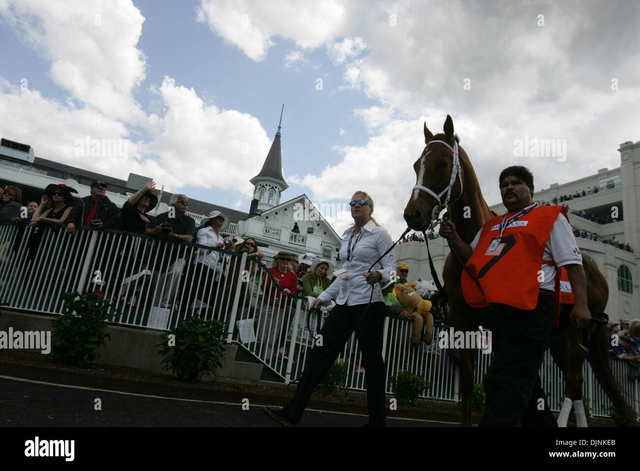 7 Bayou's Lassie is led around the paddock before the 7th race at the 134th running of the Kentucky Derby Saturday May 3, 2008, at Churchill Downs, Louisville, Ky. Photo by Brad Luttrell  (Credit Image: Stock Photo