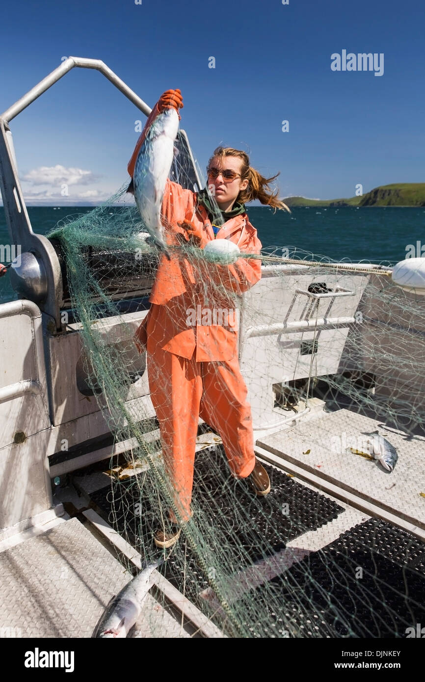 Salmon Fishing In The Alaska Department Of Fish And Game 'alaska Peninsula Area' Stock Photo Alamy