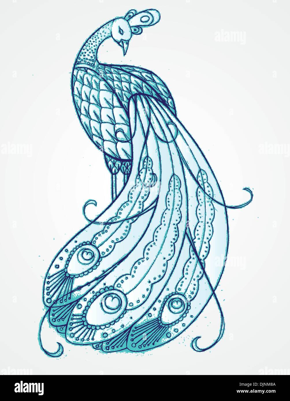 Hand drawn, stylized, blue peacock Stock Vector Image & Art - Alamy