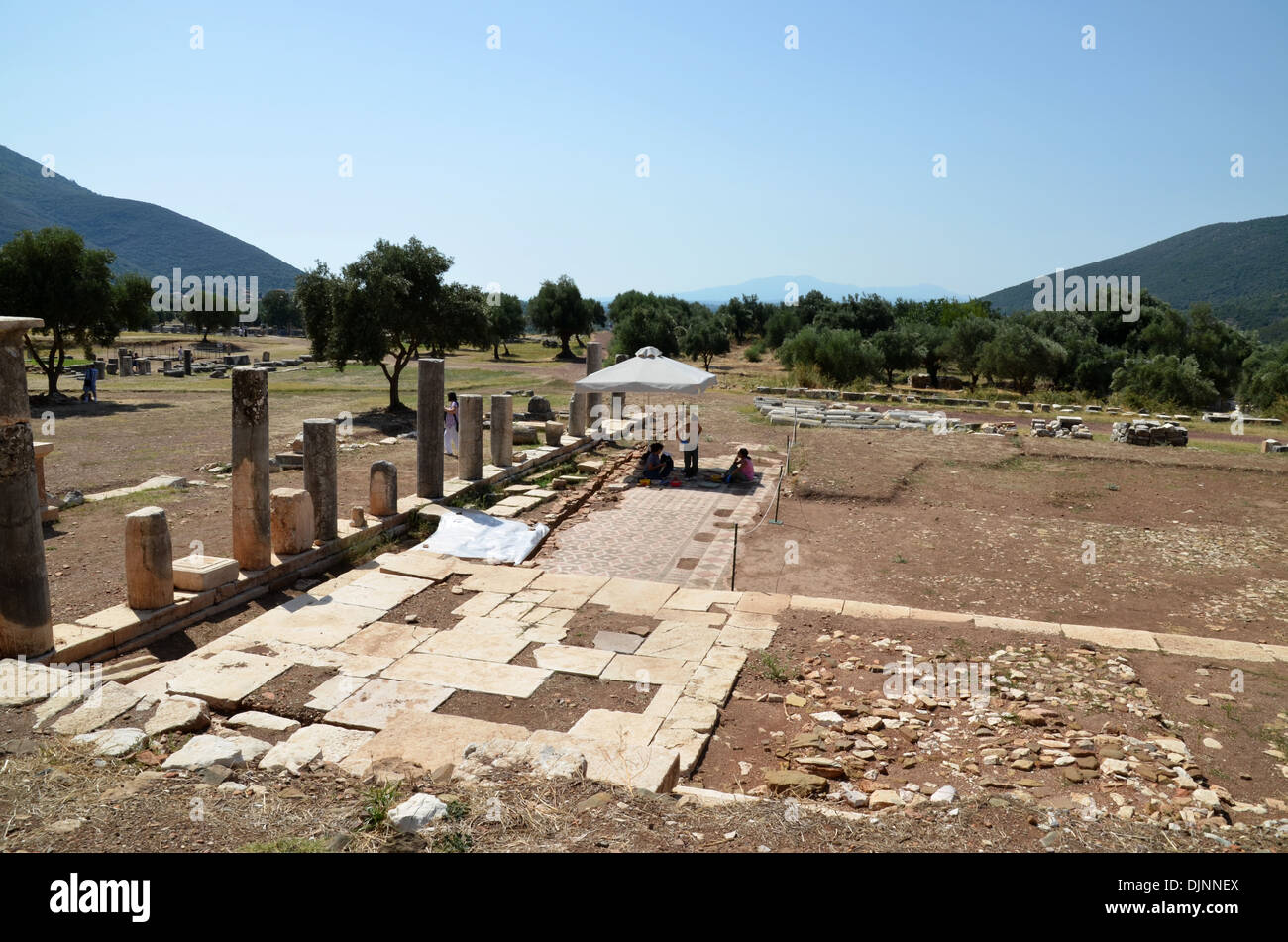 Excavators Messina in Greece number 3406 Stock Photo