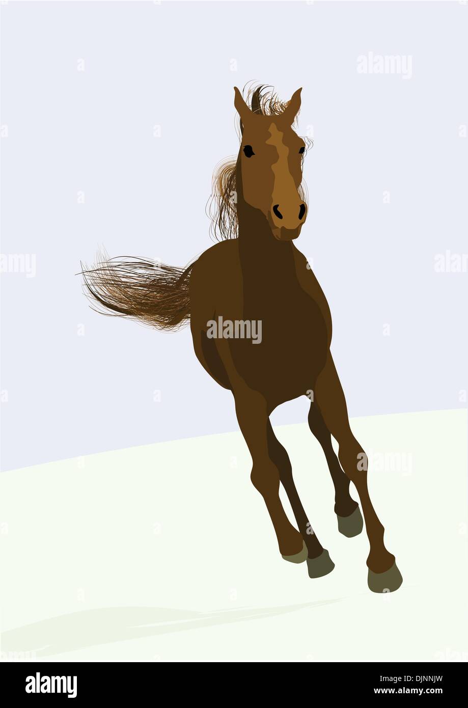 beautifull race-horse Stock Vector