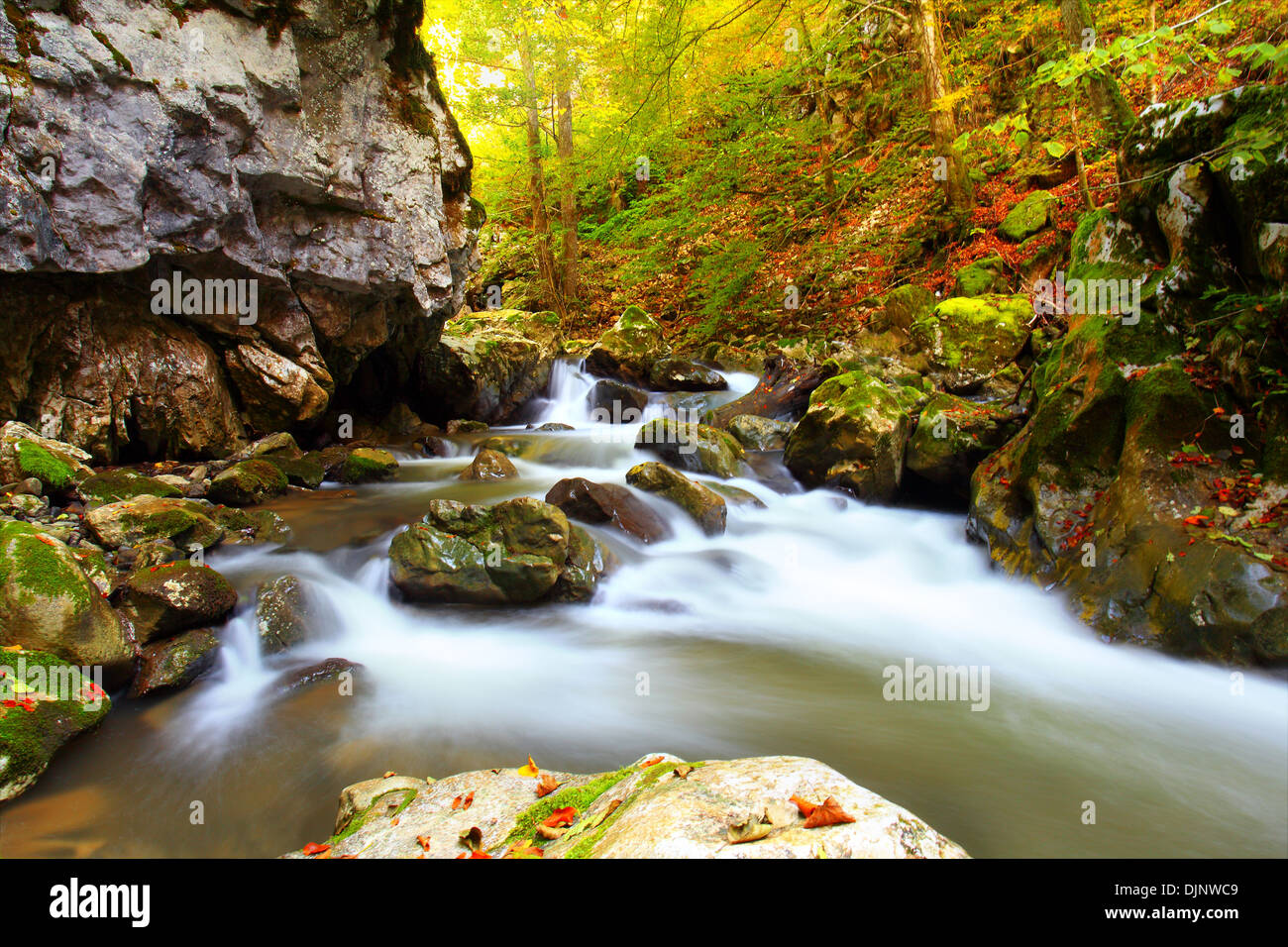 Beauty of waterfall hi-res stock photography and images - Alamy