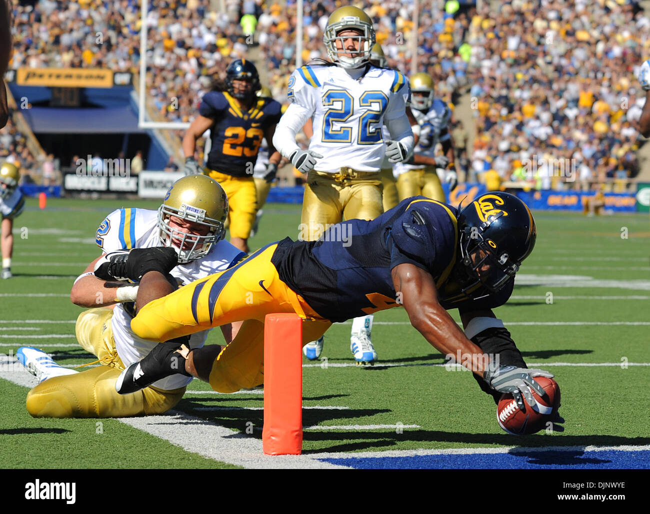 California Golden Bears Jhavid Best, #4, dives into the endzone to score a touchdown while being tackled by UCLA Bruins Joh Hale, #12, in the 2nd quarter of their game on Saturday, October 25, 2008 at Memorial Stadium in Berkeley, Calif. (Jose Carlos Fajardo/Contra Costa Times/ZUMA Press). Stock Photo