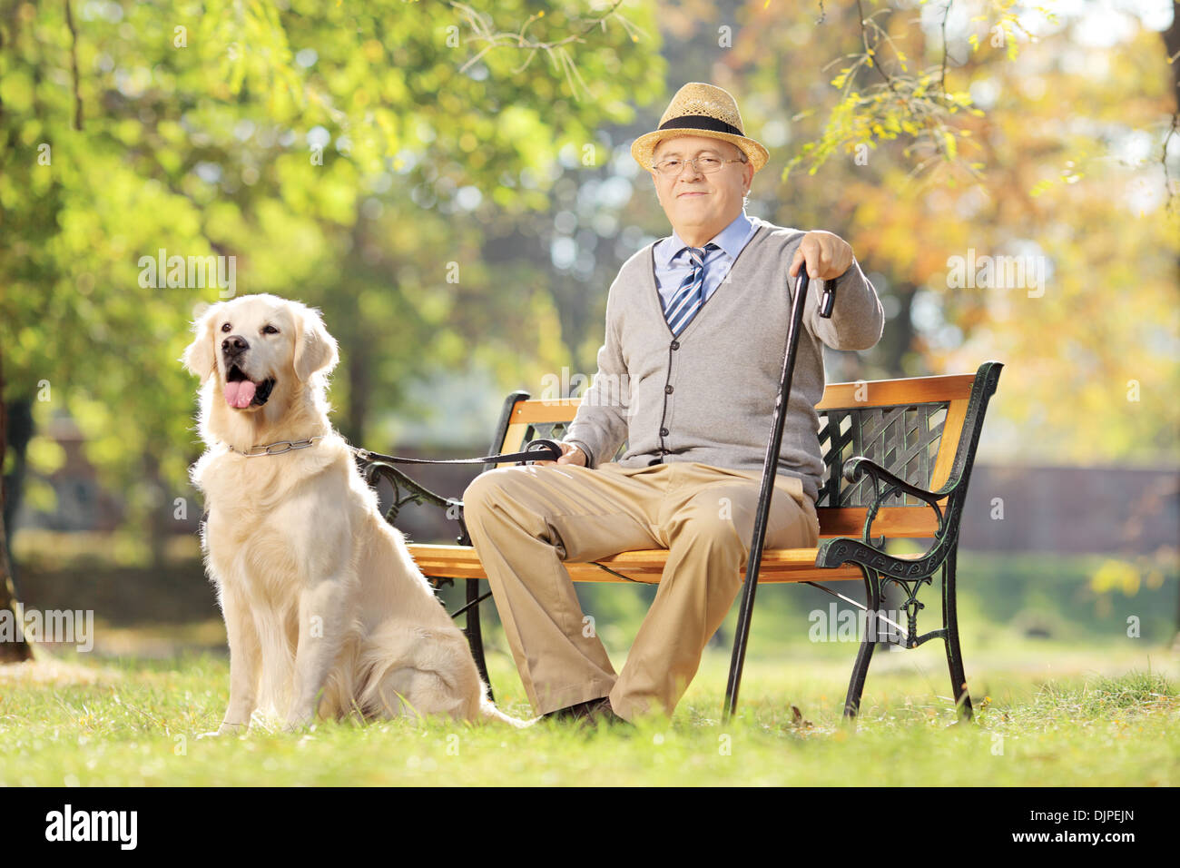 Senior man seated on a bench with his dog relaxing in a park Stock ...