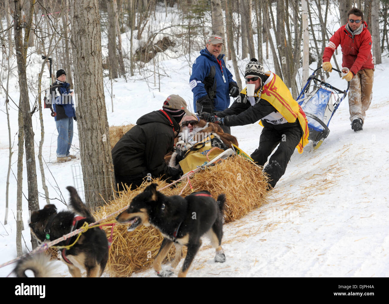 Mar 06, 2010 - Anchorage, Alaska, USA - JOHN STEWART of Scotland works to extract his sled and Iditarider FRAN LOCKWOOD of Indiana from a bale of hay along University Lake during the Iditarod's ceremonial start Saturday. (Credit Image: © Erik Hill/Anchorage Daily News/ZUMA Press) Stock Photo