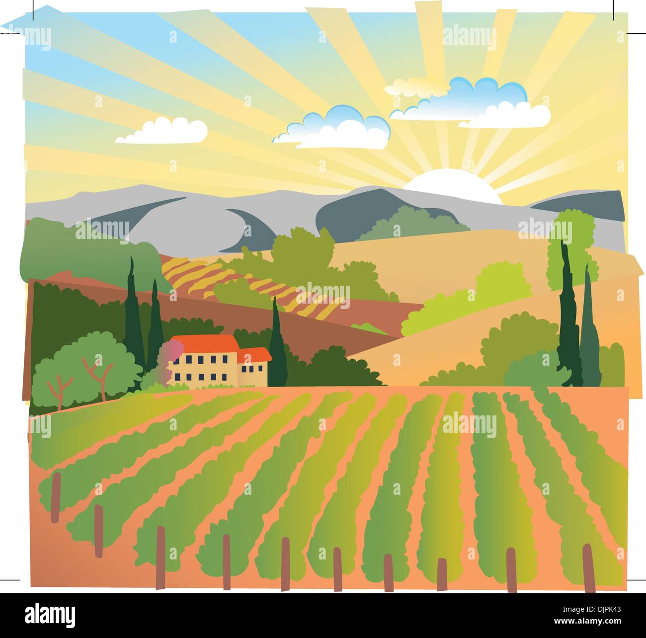 Summer solar rural landscape with a sunset, vineyard and mountains ...