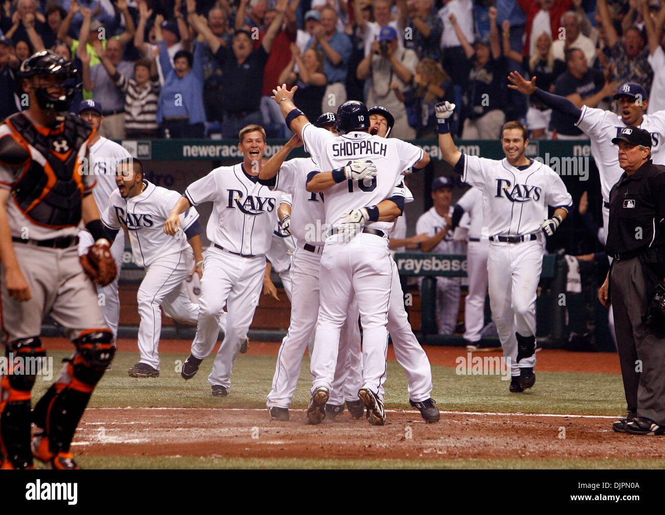 Apr. 06, 2010 - Tampa, Florida, USA - DIRK SHADD   |  Times .SP 321097 SHAD RAYS 17 (04/06/10 St. Pete) Tampa Bay Rays celebrate as Kelly Shoppach (10) crosses home plate to score the game winning run on a hit by Carl Crawford as the Rays win on opening day defeating the Baltimore Orioles 4 to 9 in the bottom of the ninth in front of a sold out crowd at Tropicana Field in St. Peter Stock Photo