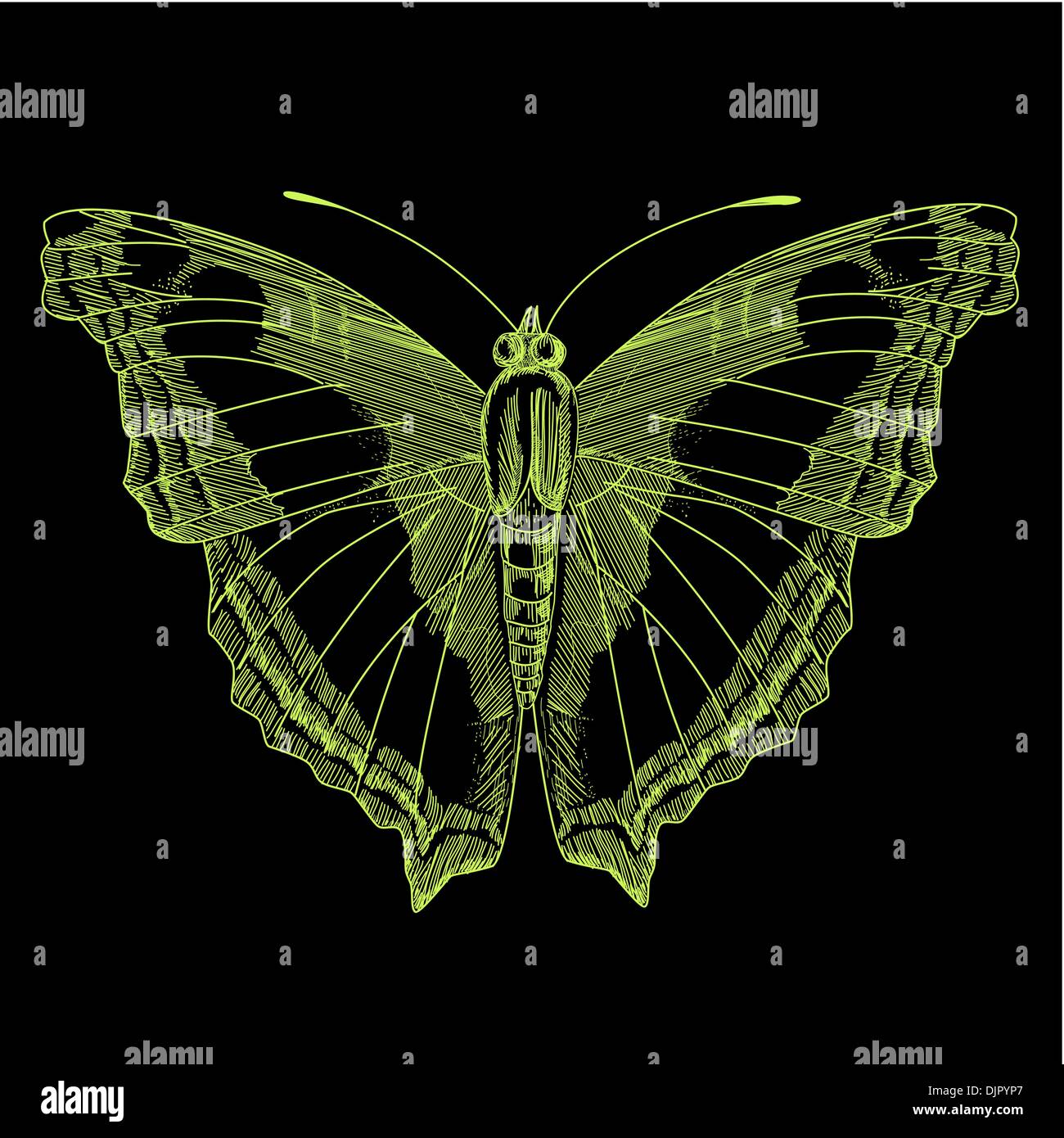 Bright butterfly on black bacground Stock Vector