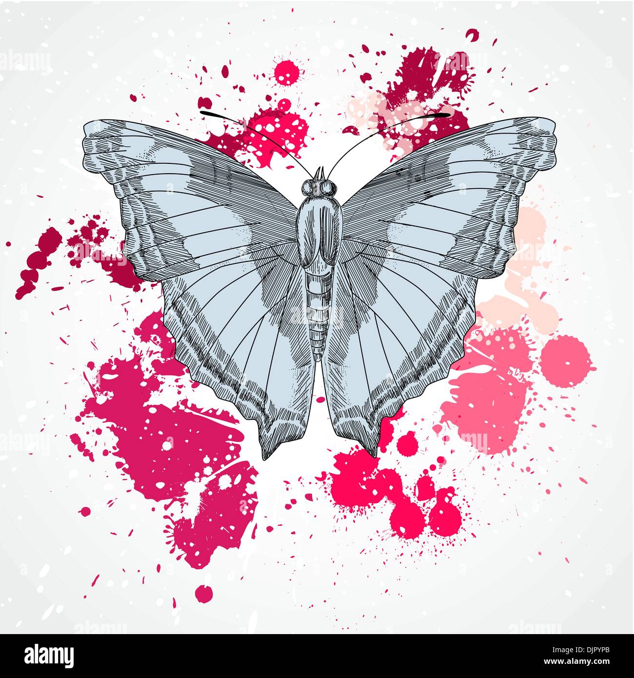Vector decorative butterfly background Stock Vector Image & Art - Alamy