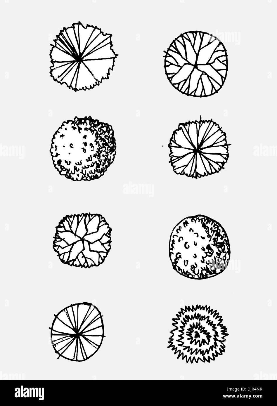 Trees top view for architecture landscape design projects Stock Photo