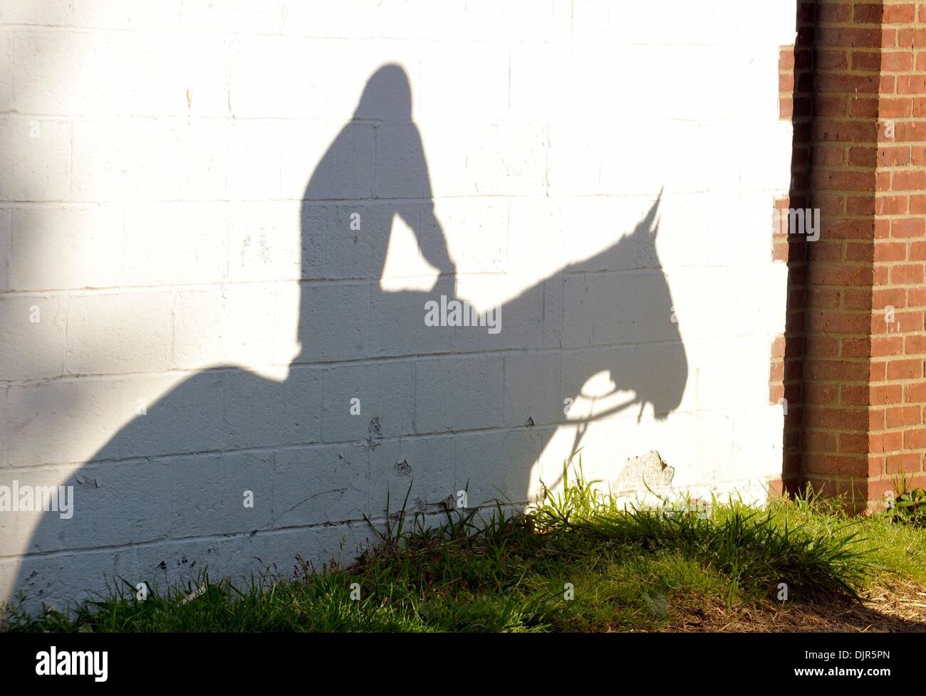 May 31, 2010 Elmont, New York, USA A horse casts a shadow while