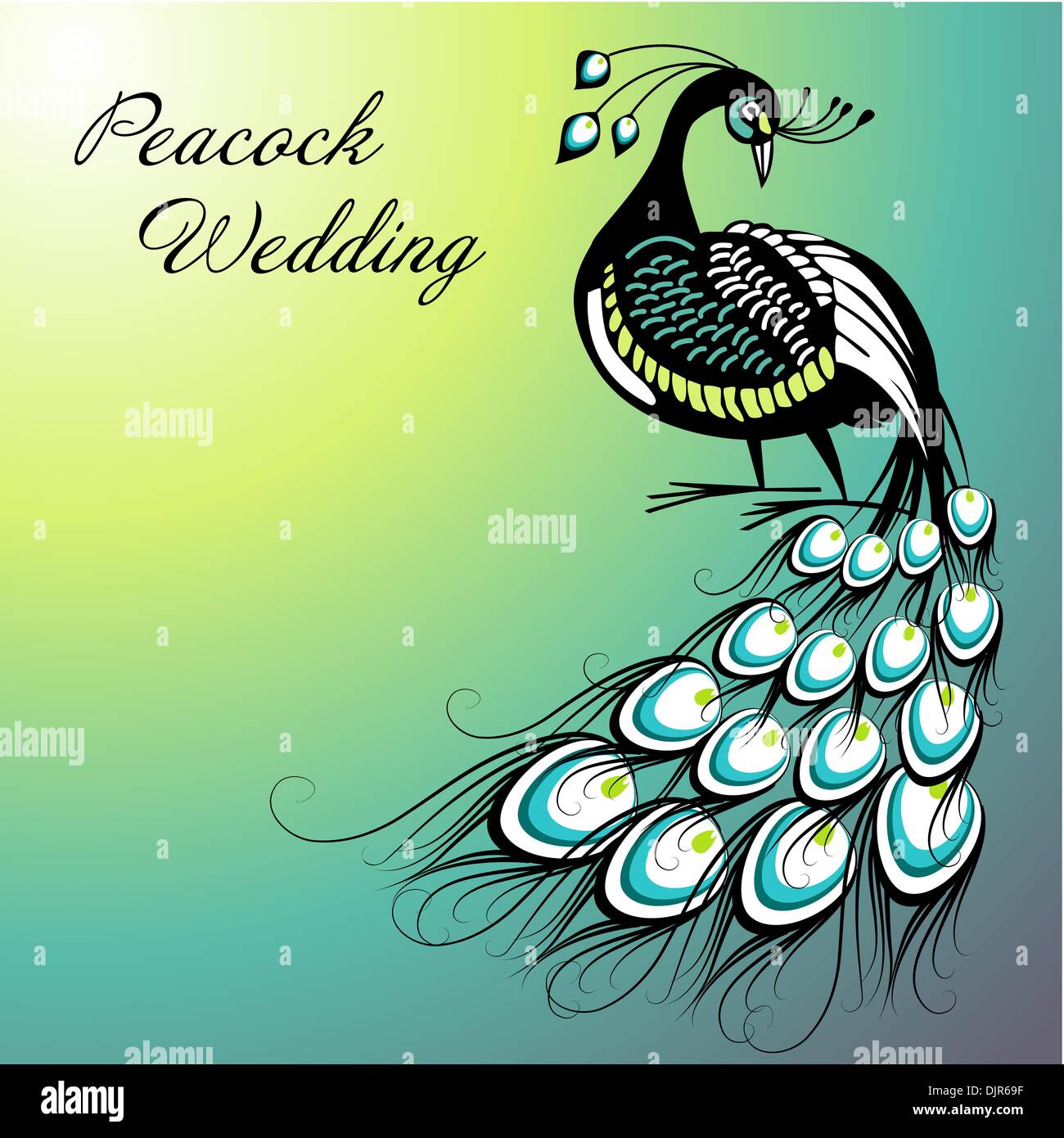 Peacock Card Stock Vector