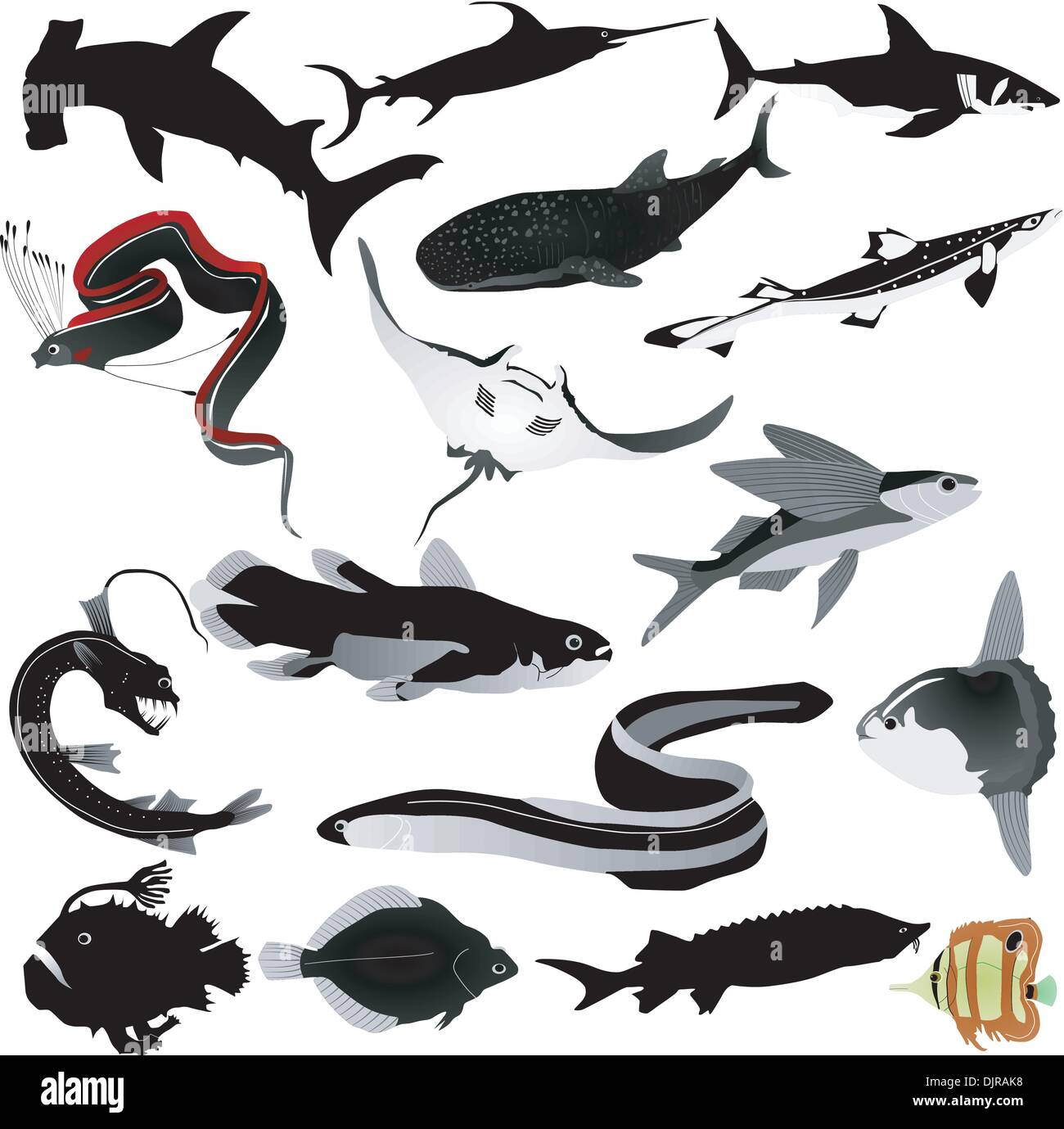 Spec Fish Vector Collection of vector images of fishes Stock Vector Image & Art - Alamy