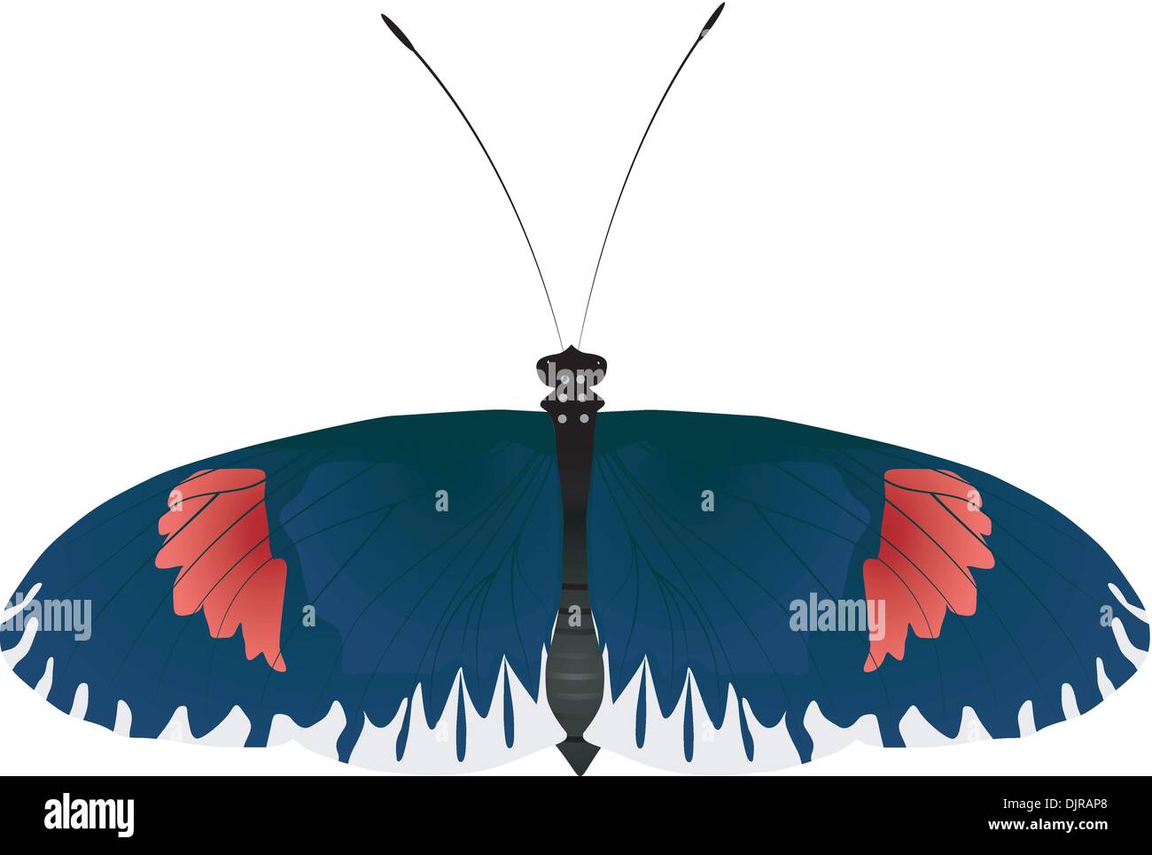 color vector butterfly Stock Vector Image & Art Alamy