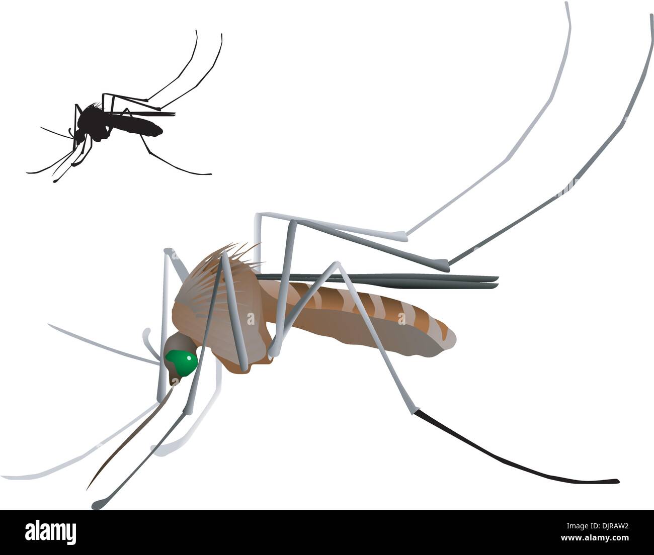 The outlet mosquito sound