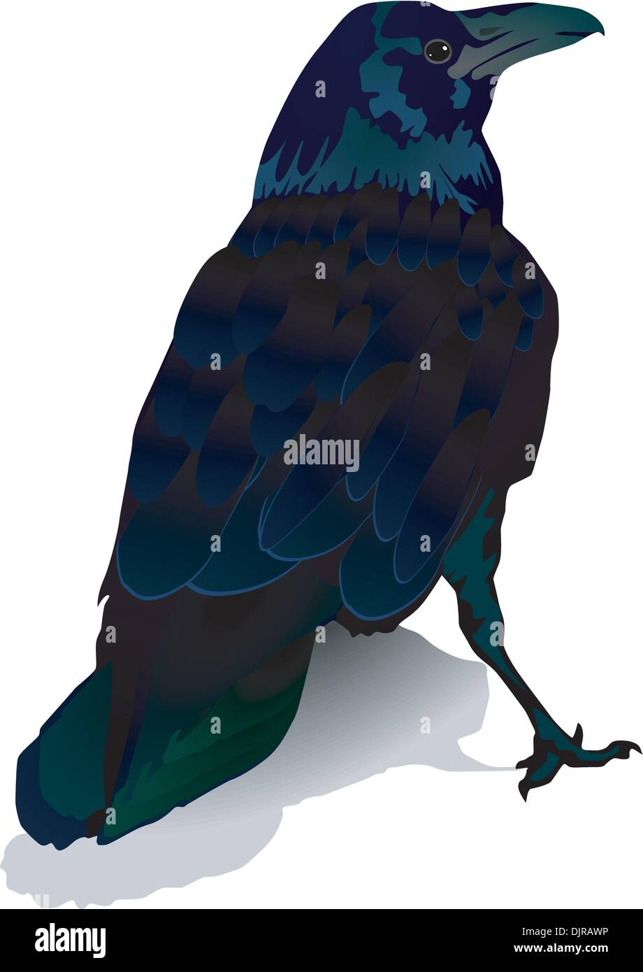 Vector image of a crow Stock Vector