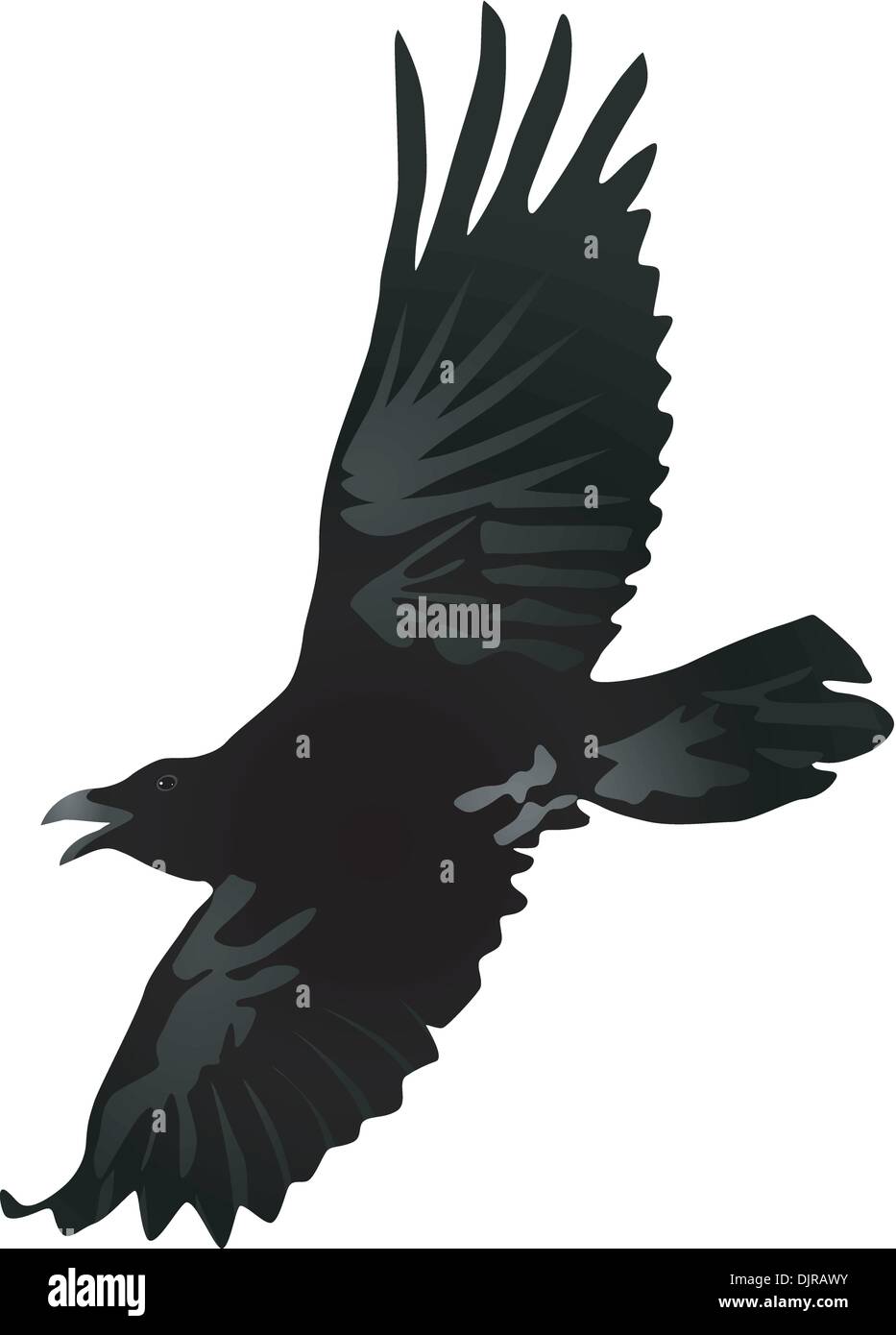 Vector drawing a flying crow Stock Vector Image & Art Alamy