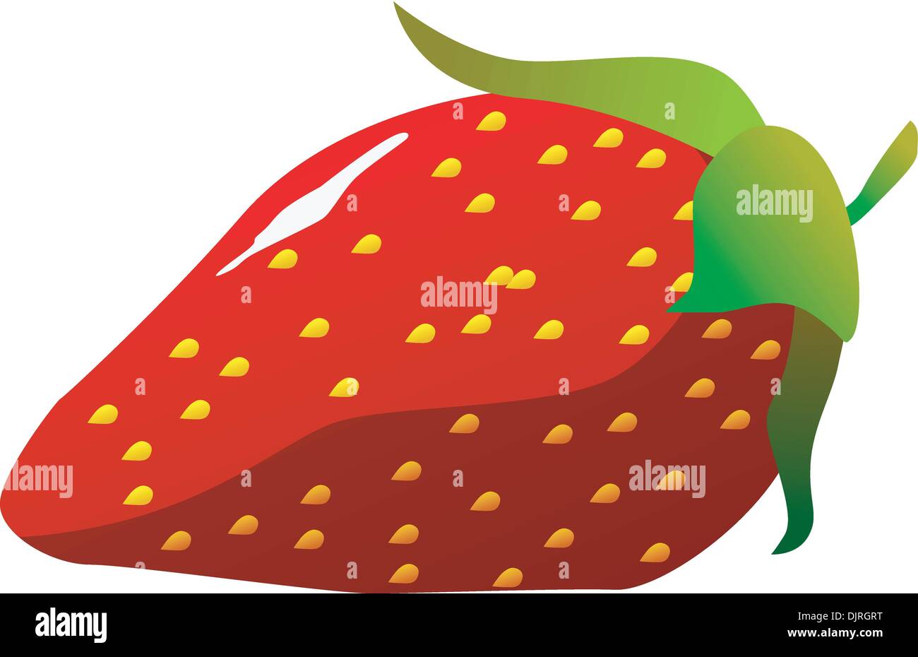 Strawberries. vector Stock Vector