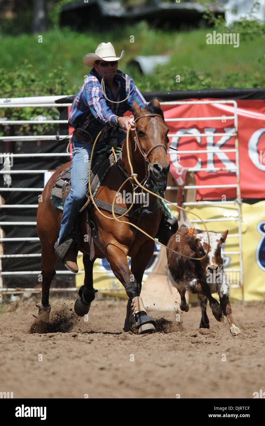 May 08, 2010 - Sonora, California, U.S - 08 May 2010: Tie-down roper Dave Hall of Norco, CA competes at the 2010 Mother Lode Round-Up in Sonora, CA. (Credit Image: © Matt Cohen/Southcreek Global/ZUMApress.com) Stock Photo