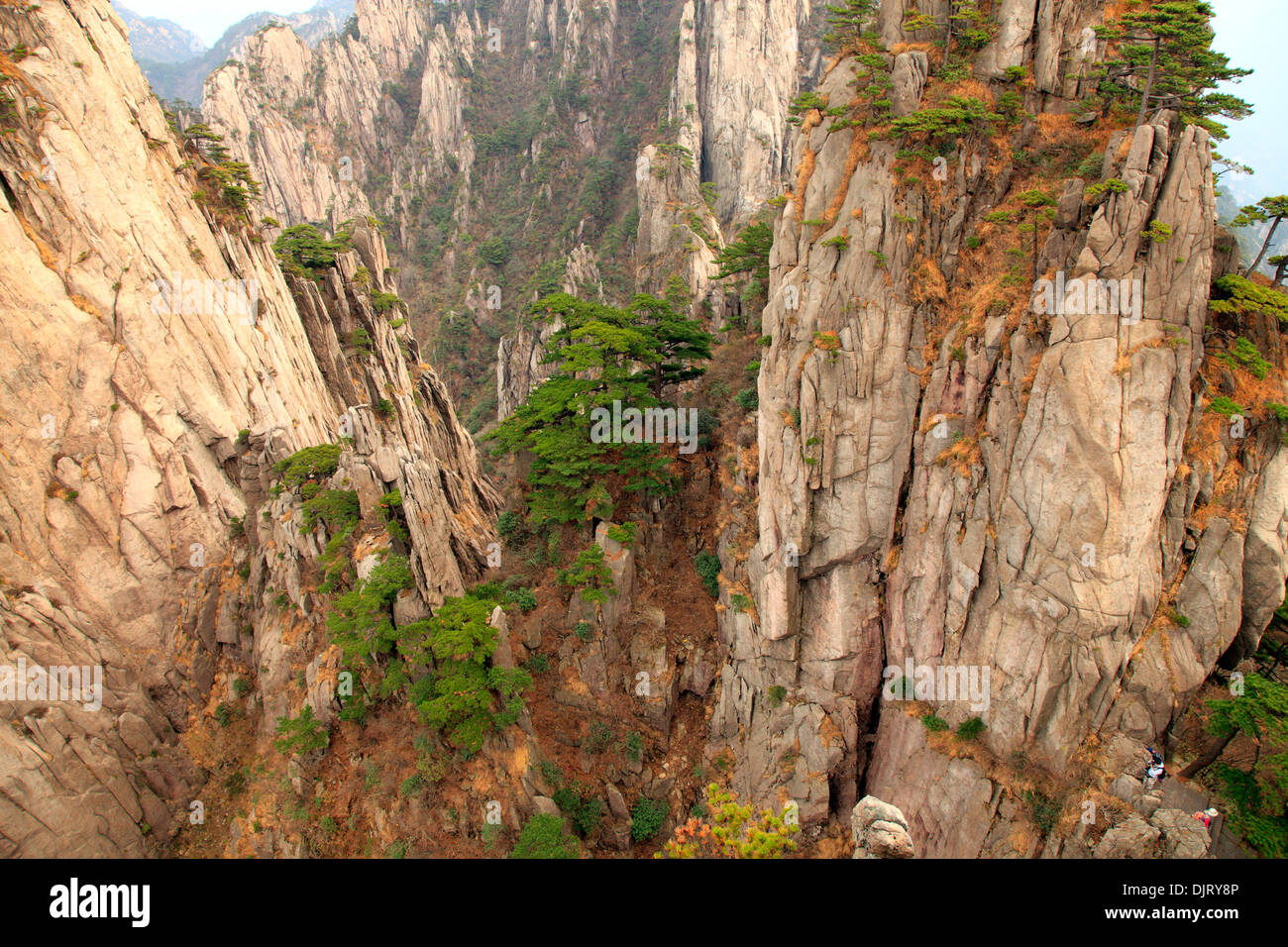 Mount Huangshan, Anhui, China Stock Photo