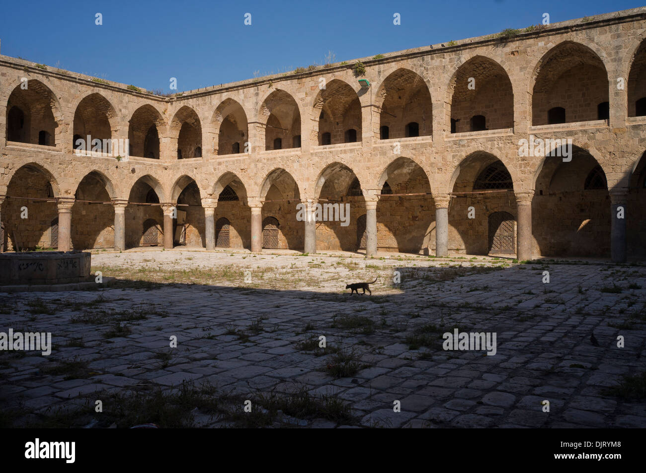 Old City of Acre, Israel, a cat walking across, Caravanserai of the Pillars, Inn of the Columns Stock Photo