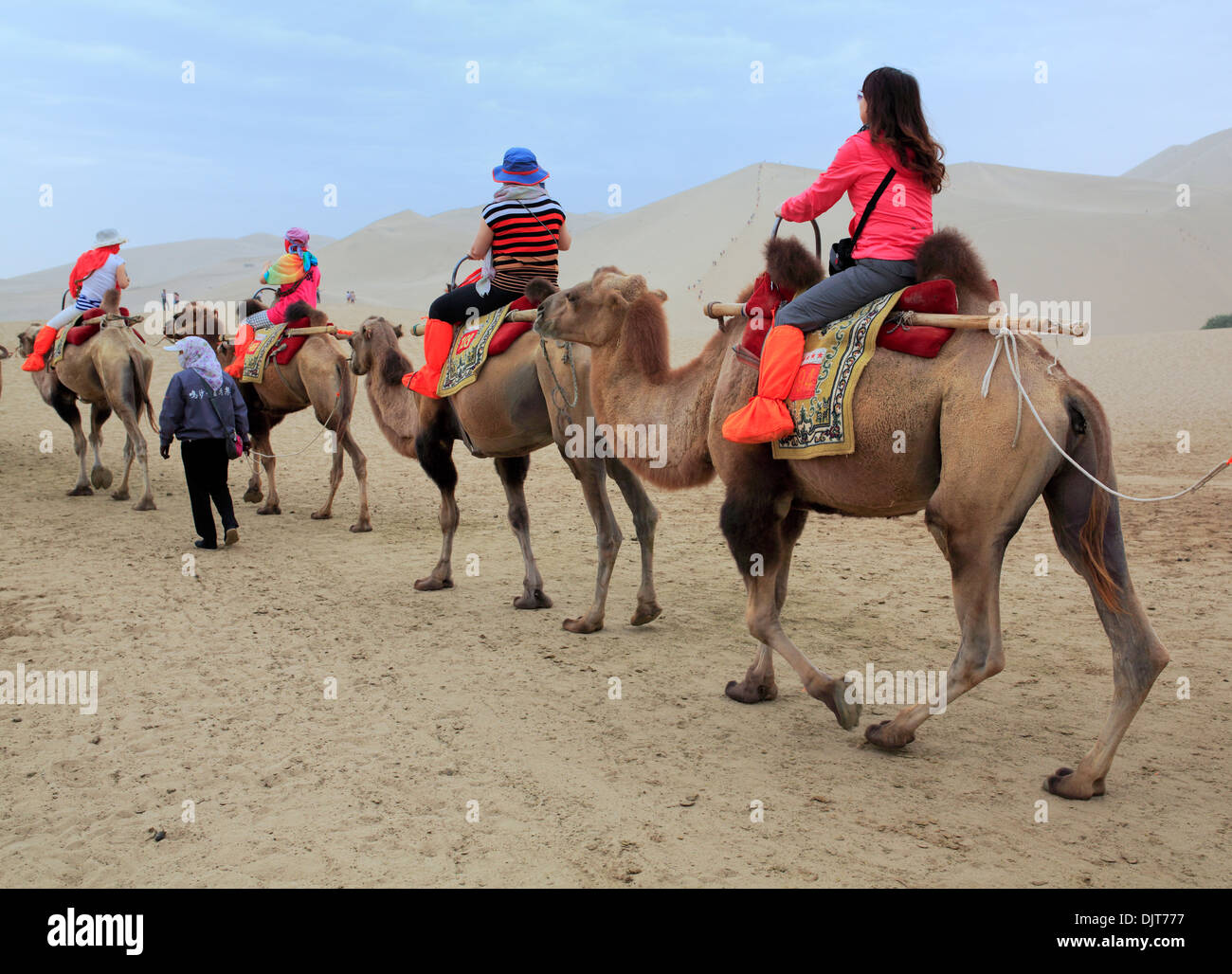 Dunhuang china camels hi-res stock photography and images - Alamy