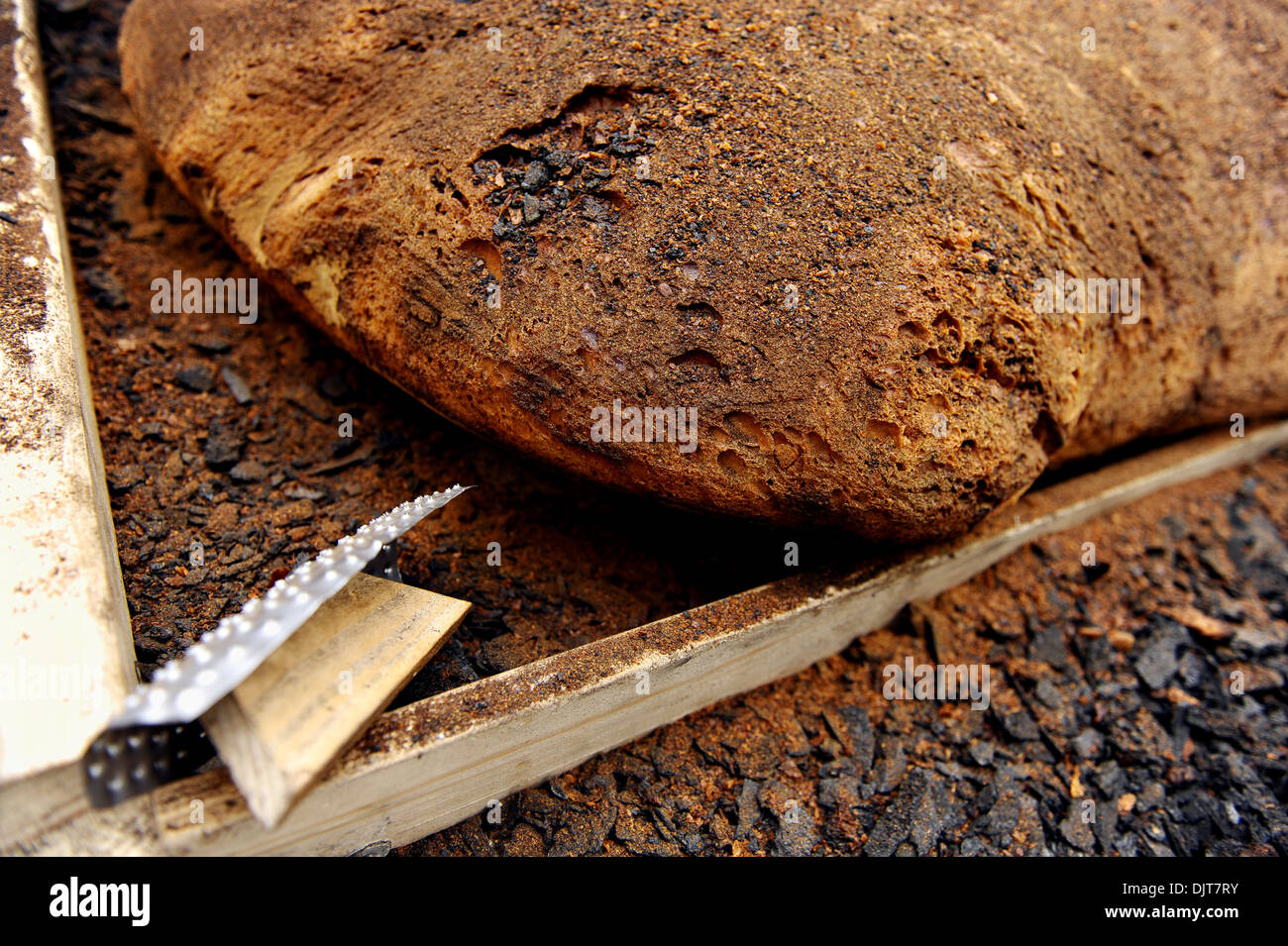 Huge homemade bread with the crust scrapped off Stock Photo