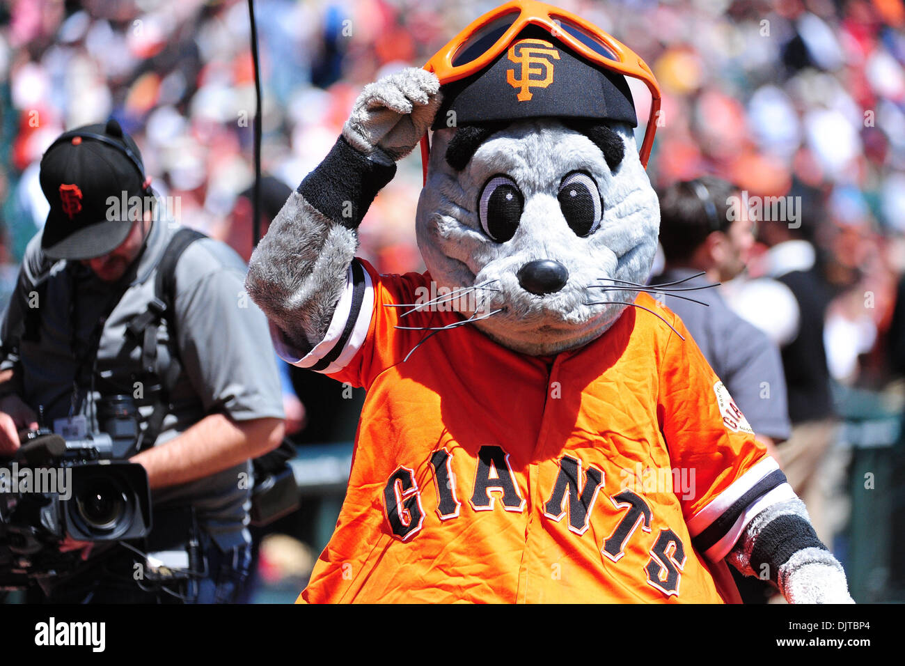 San Francisco, CA: Giants mascot Lou Seal prepares for the game