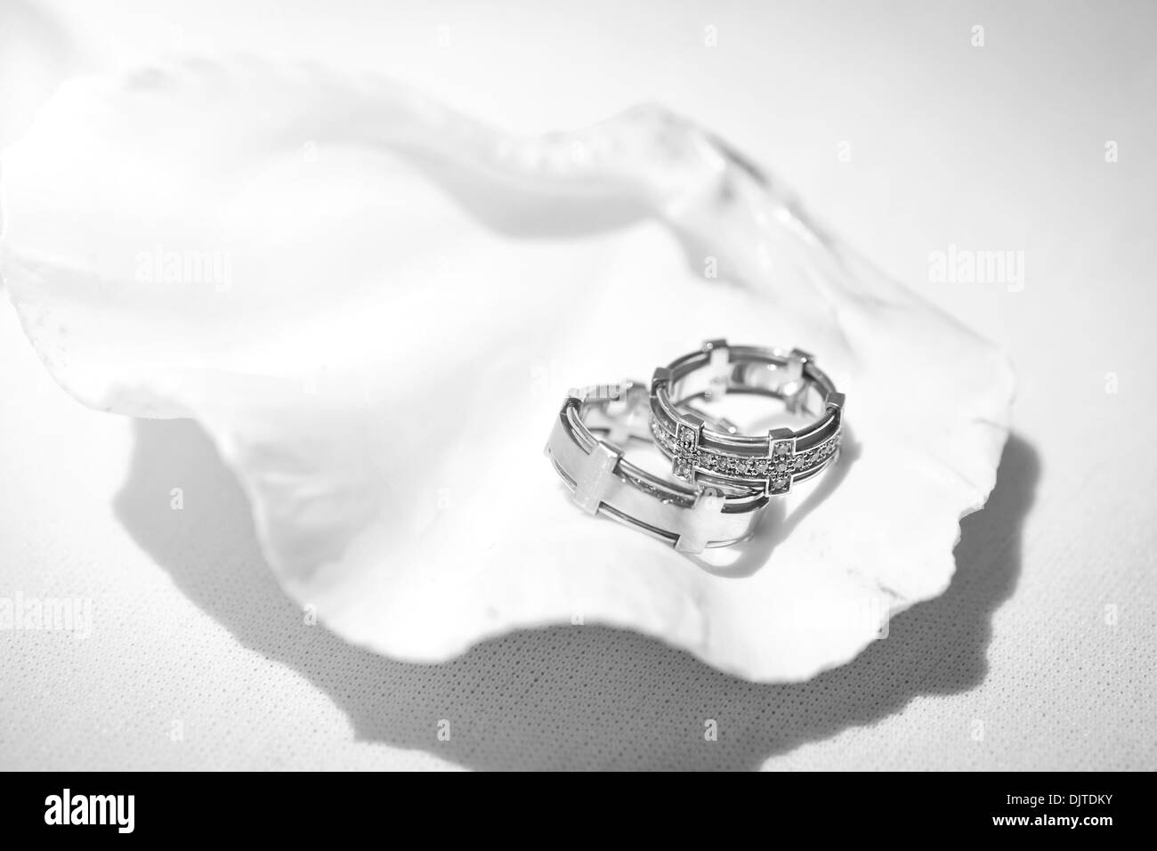 Wedding rings in seashell, closeup Stock Photo