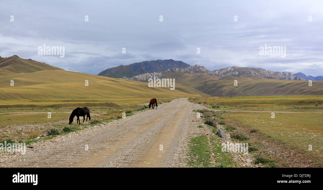 Road from Torugart pass to Tash Rabat valley, Naryn oblast, Kyrgyzstan Stock Photo