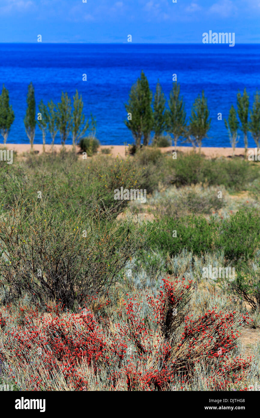 Issyk Kul Lake shore, Issyk Kul oblast, Kyrgyzstan Stock Photo