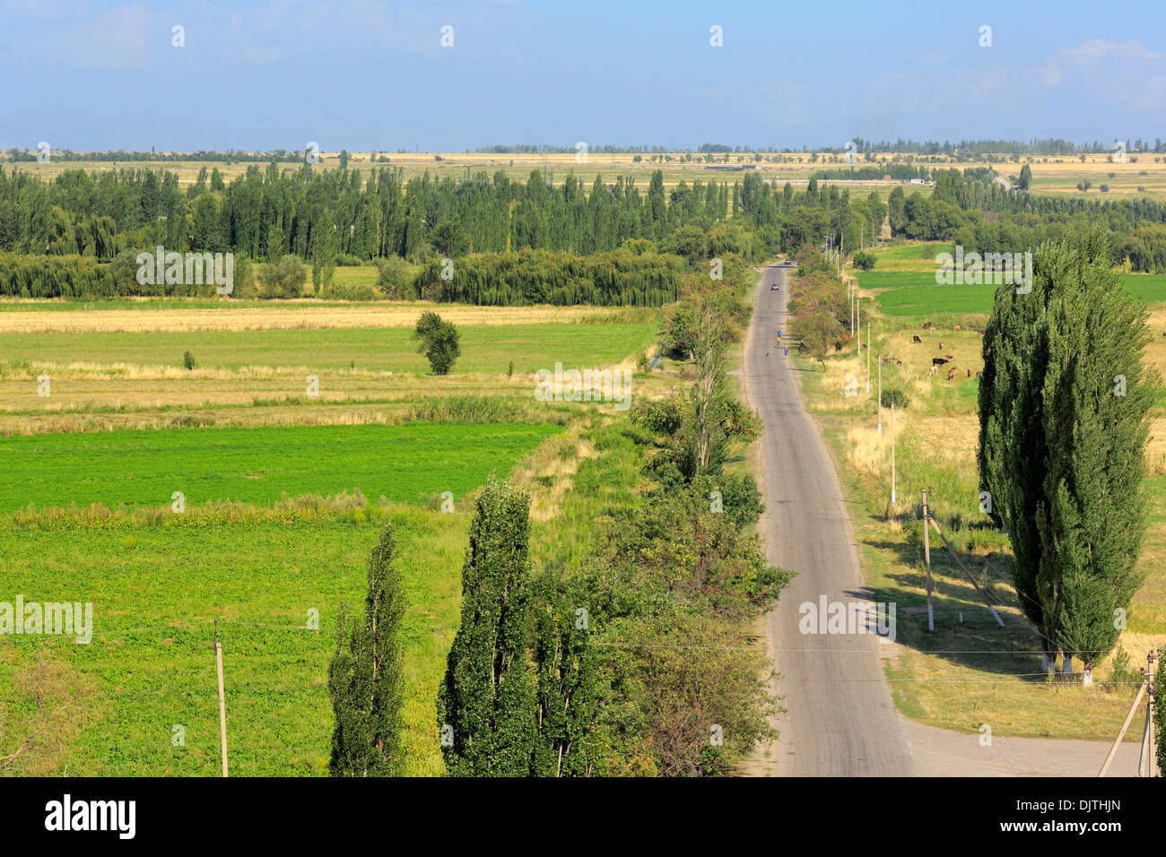 Landscape, near Burana tower, Chuy oblast, Kyrgyzstan Stock Photo