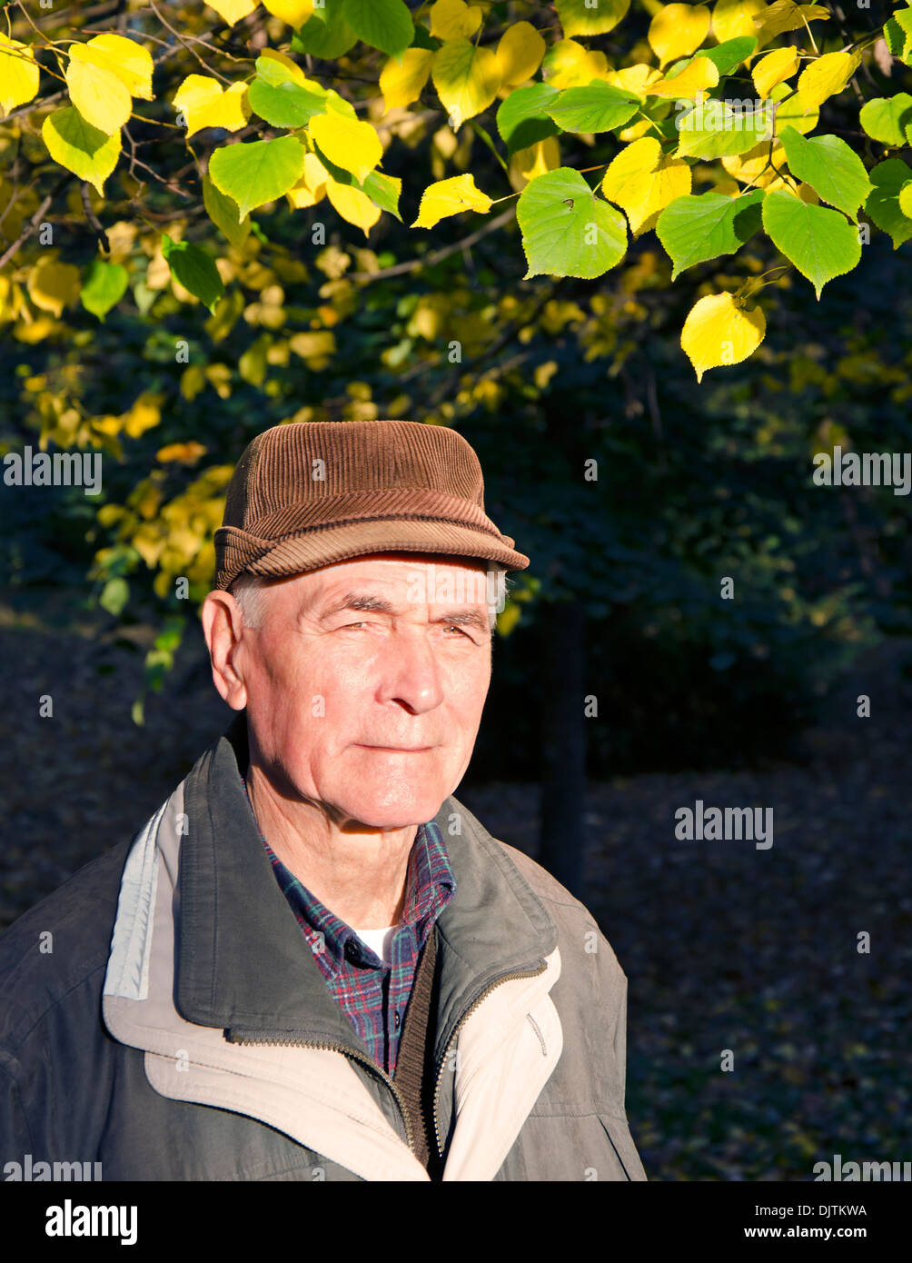 Old man look leaves hi-res stock photography and images - Alamy