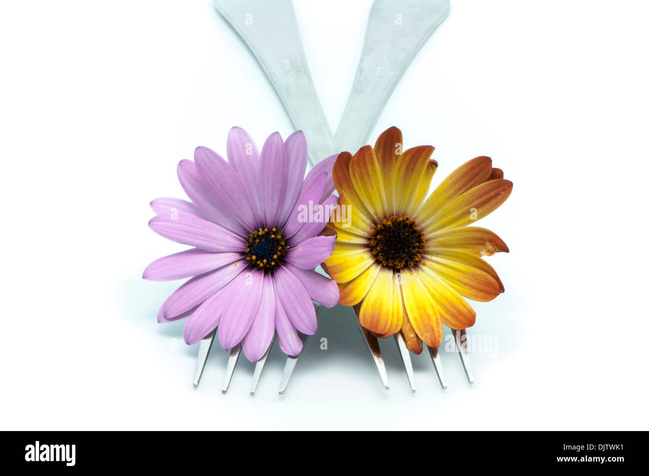 fork with flowers on a white background Stock Photo Alamy