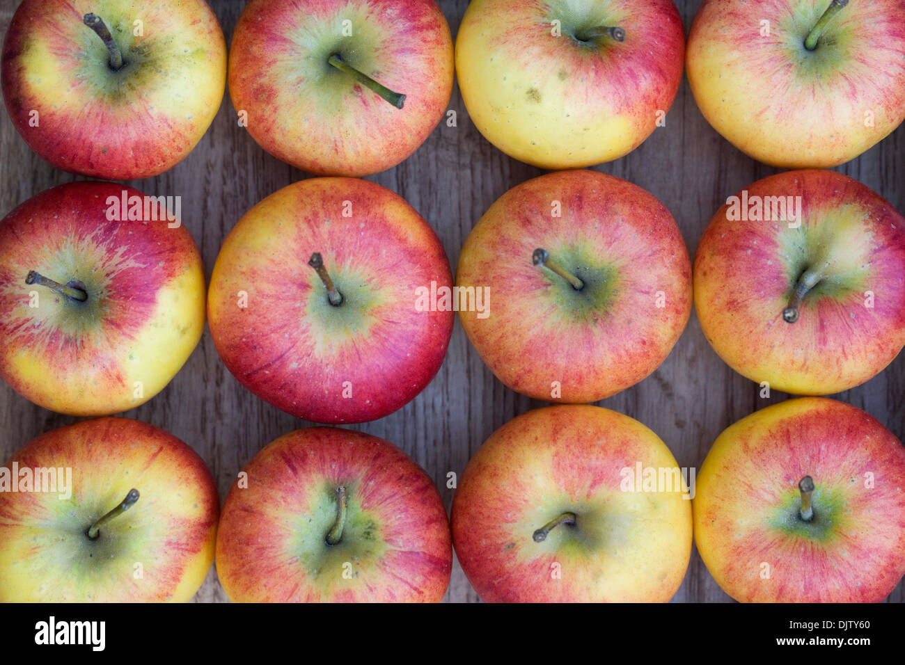 Malus domestica. Apple pattern on an oak tray. Stock Photo
